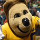 UC Berkeley Gets Caught Up In The College Admissions Bribery Scandal